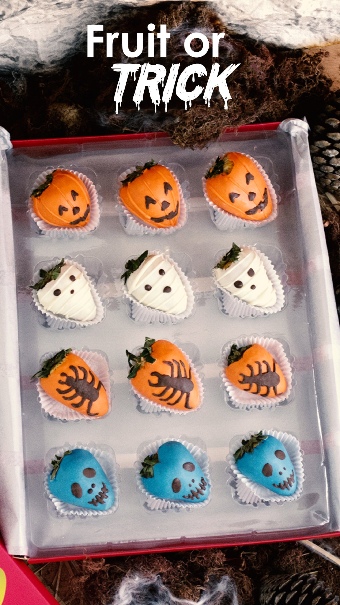 DecoBox Halloween