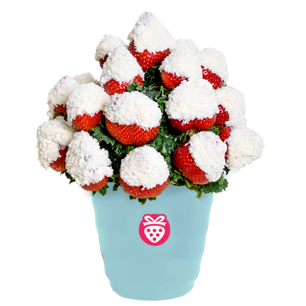 Decolate Strawberry Coconut
